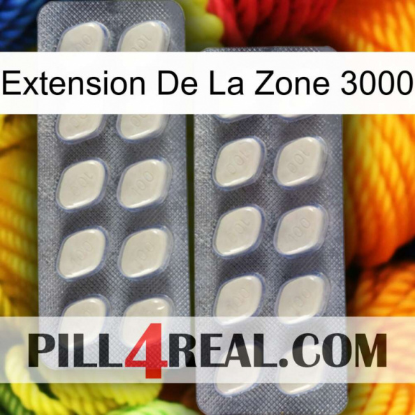 Exten Zone 3000 07.jpg